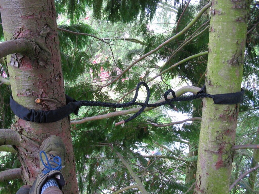 укрепление деревьев система Кобра